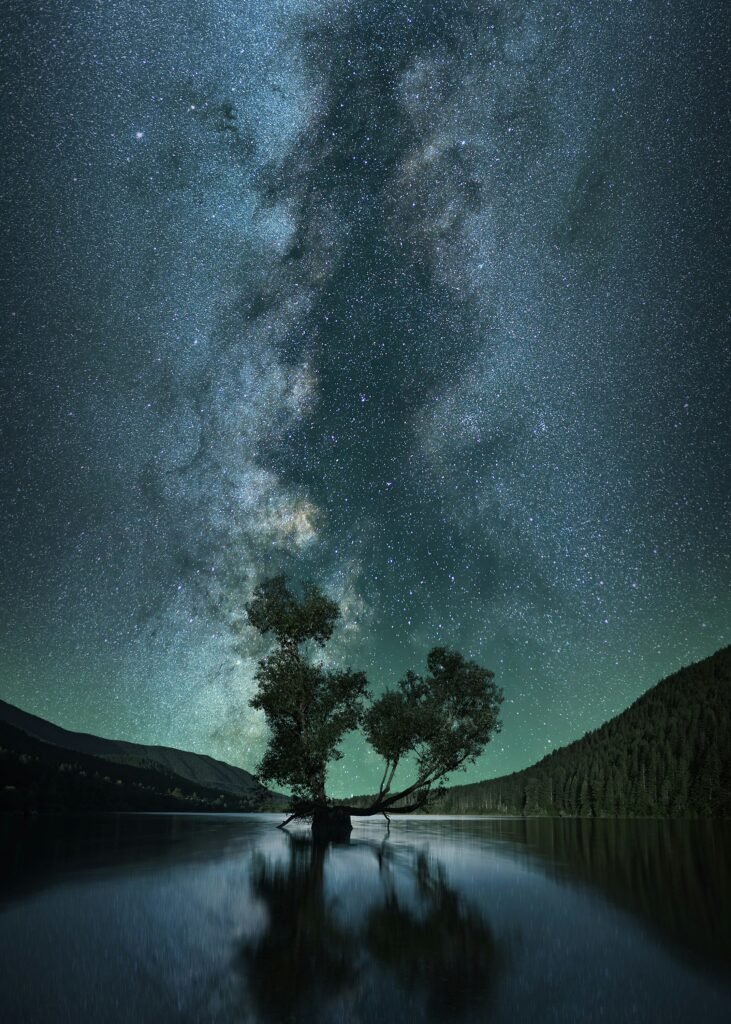 nate rayfield wr6tuiaje8 unsplash nate rayfield wr6tuiaje8 unsplash